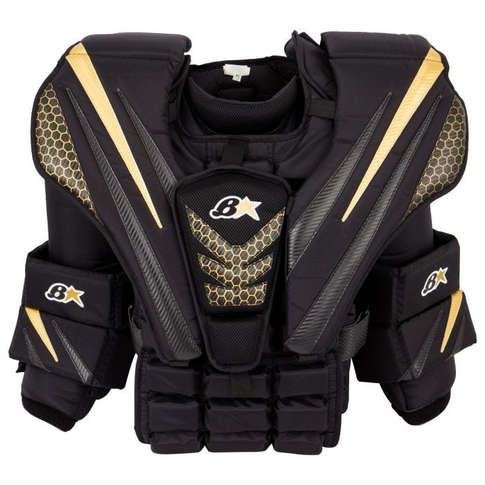 Goalie chest and store arm protector